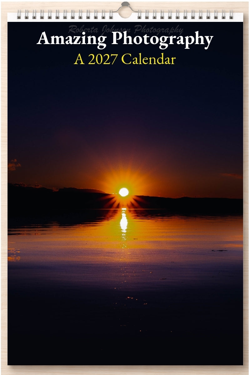 Amazing Photography: A 2027 Calendar