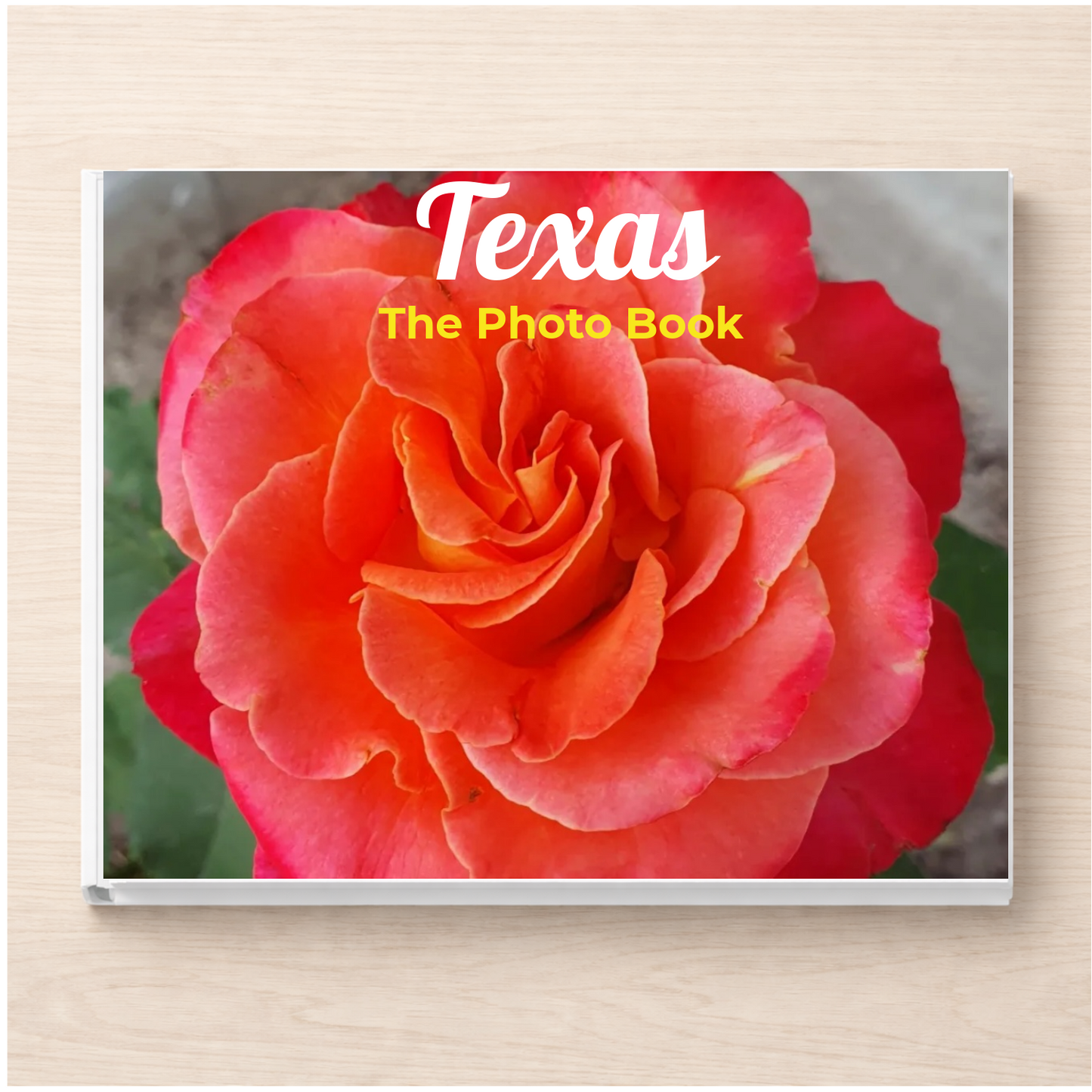 Texas: The Photo Book