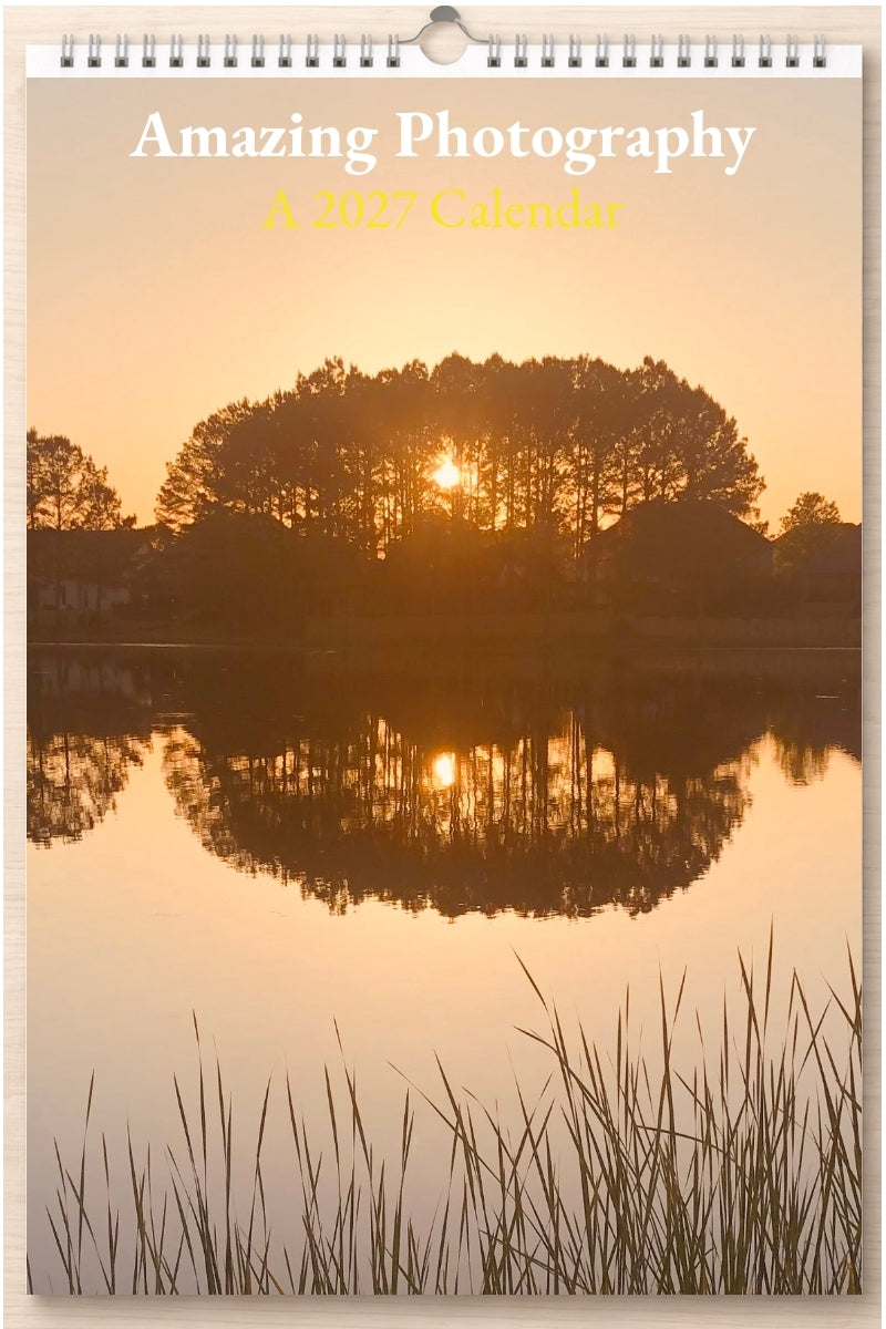 Amazing Photography: A 2027 Calendar