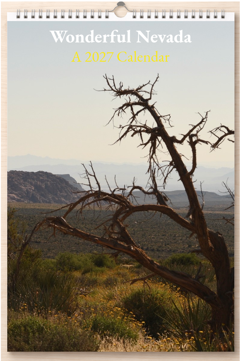 Wonderful Nevada: A 2027 Calendar