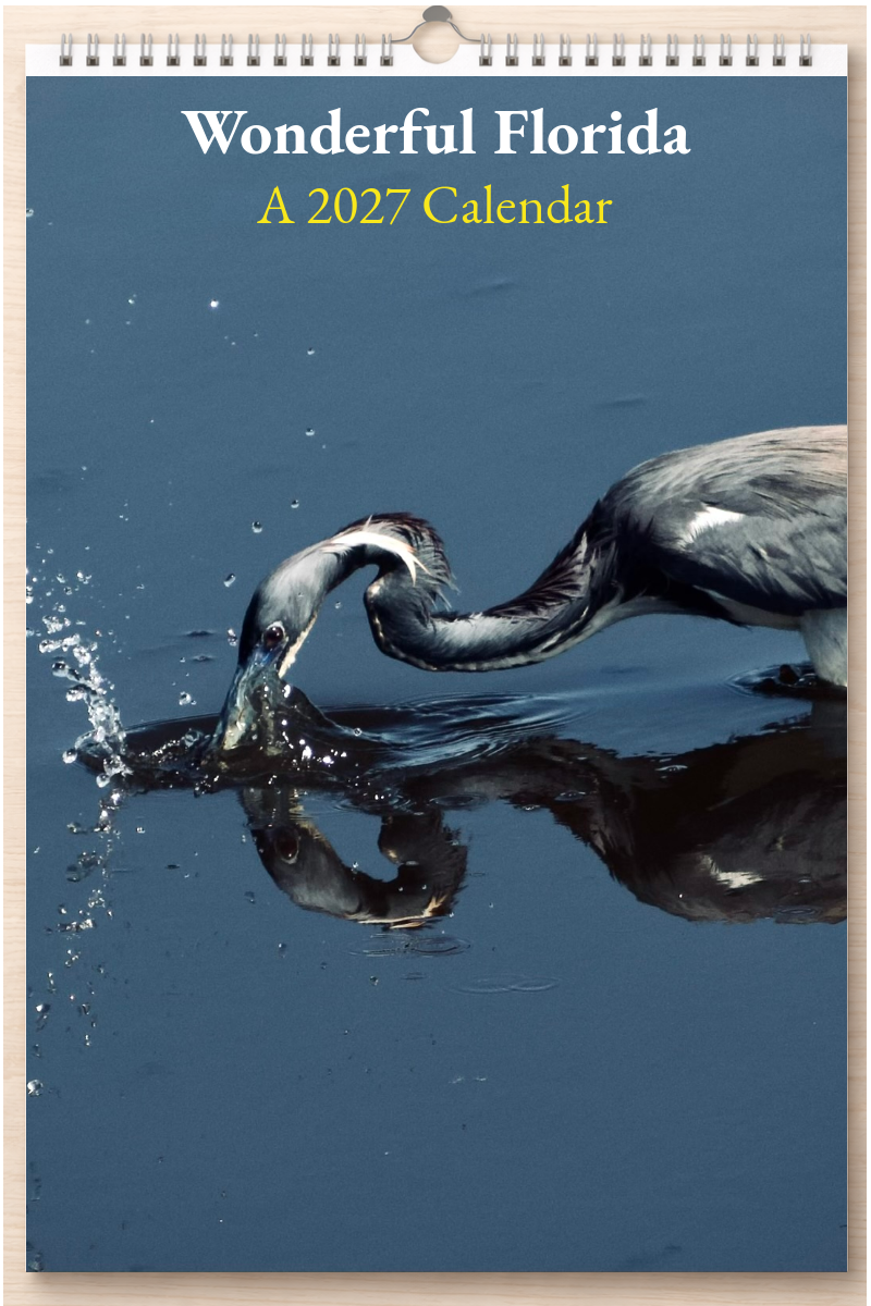 Wonderful Florida: A 2027 Calendar