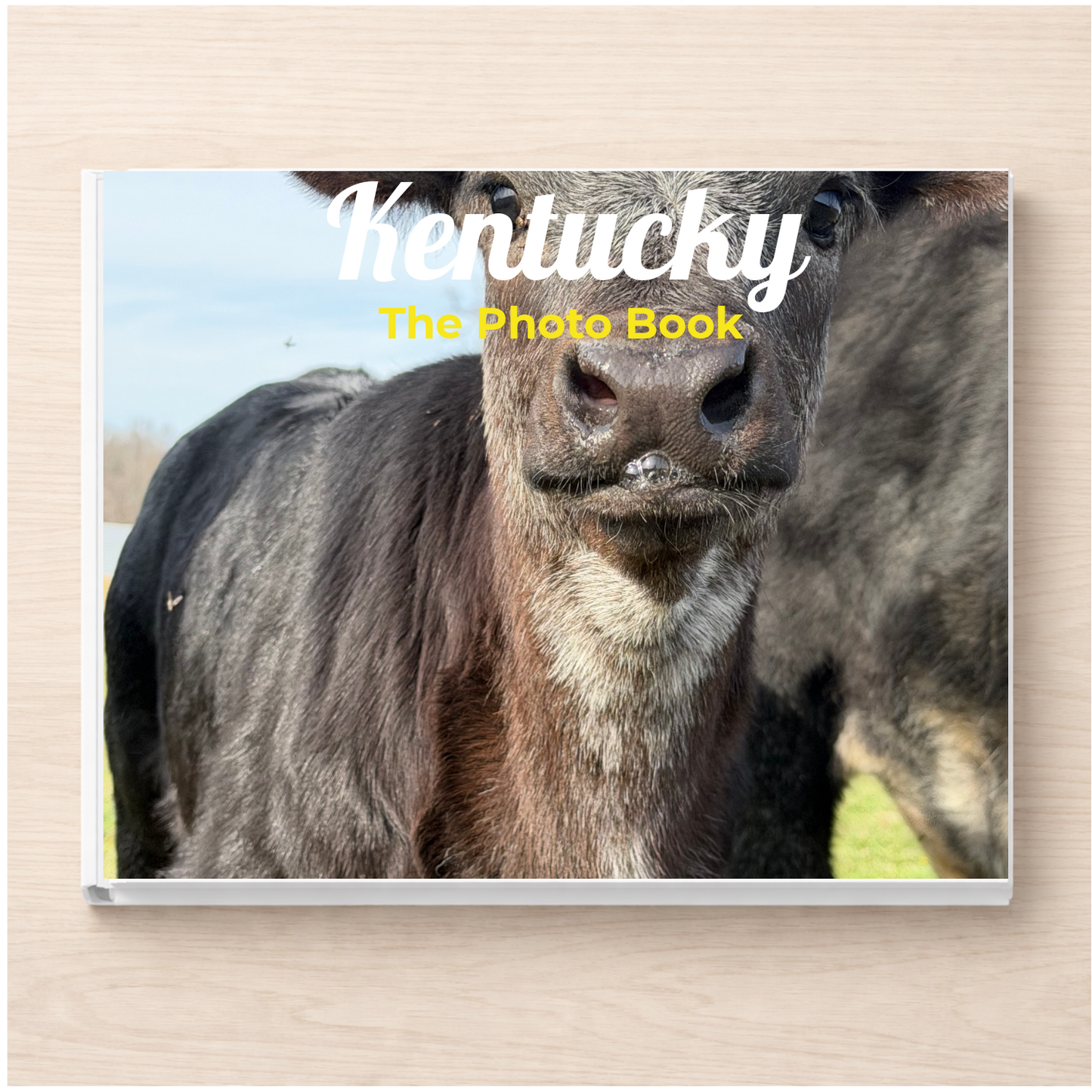 Kentucky: The Photo Book