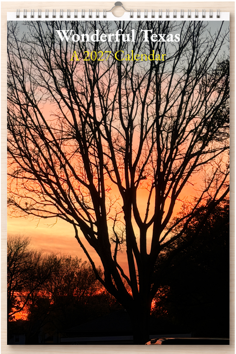 Wonderful Texas: A 2027 Calendar