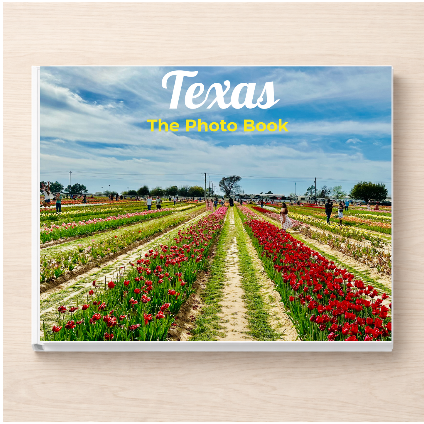 Texas: The Photo Book