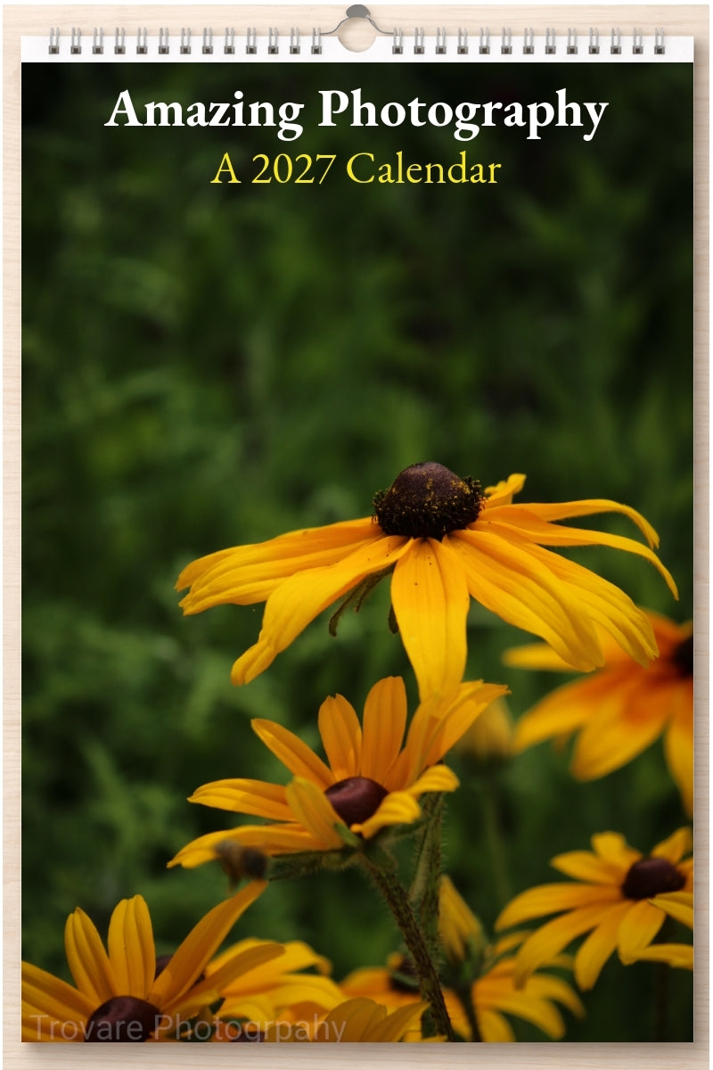 Amazing Photography: A 2027 Calendar