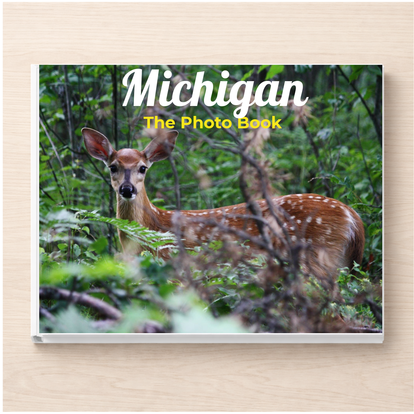 Michigan: The Photo Book