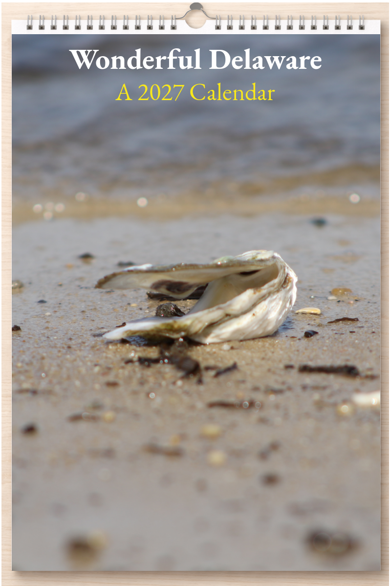 Wonderful Delaware: A 2027 Calendar