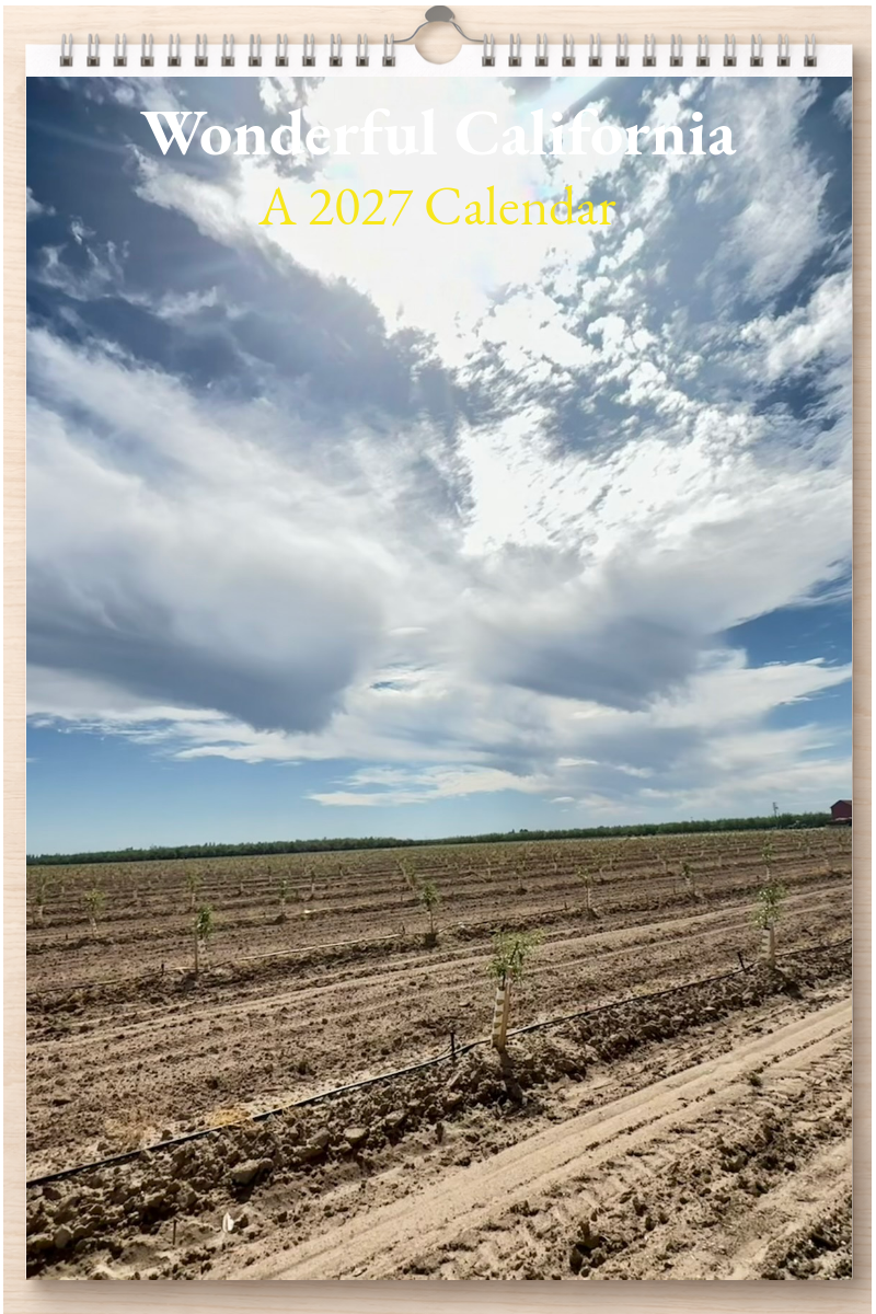 Wonderful California: A 2027 Calendar