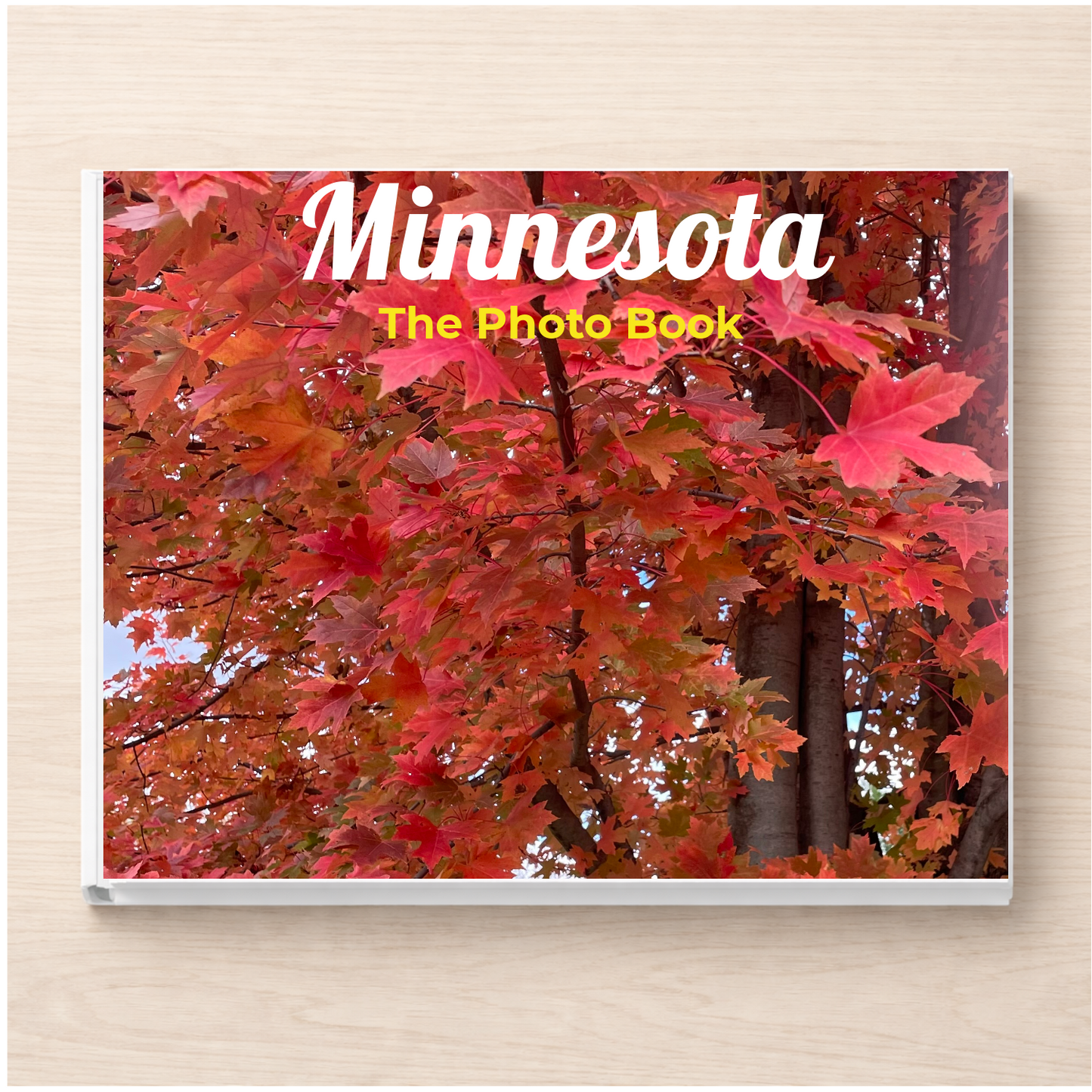 Minnesota: The Photo Book