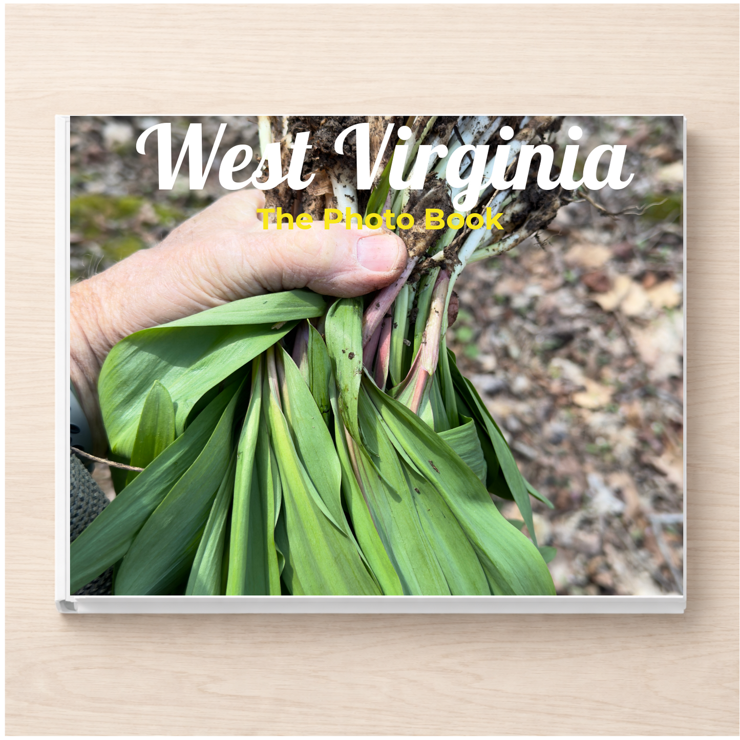 West Virginia: The Photo Book