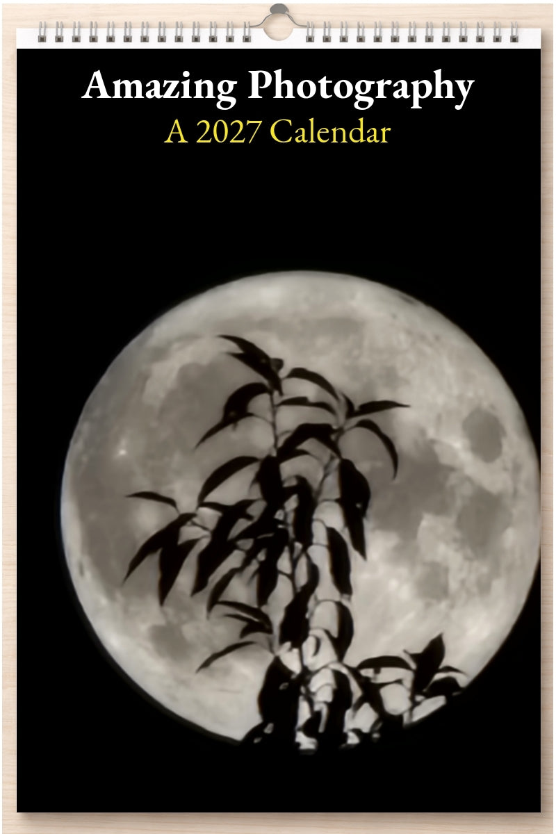 Amazing Photography: A 2027 Calendar