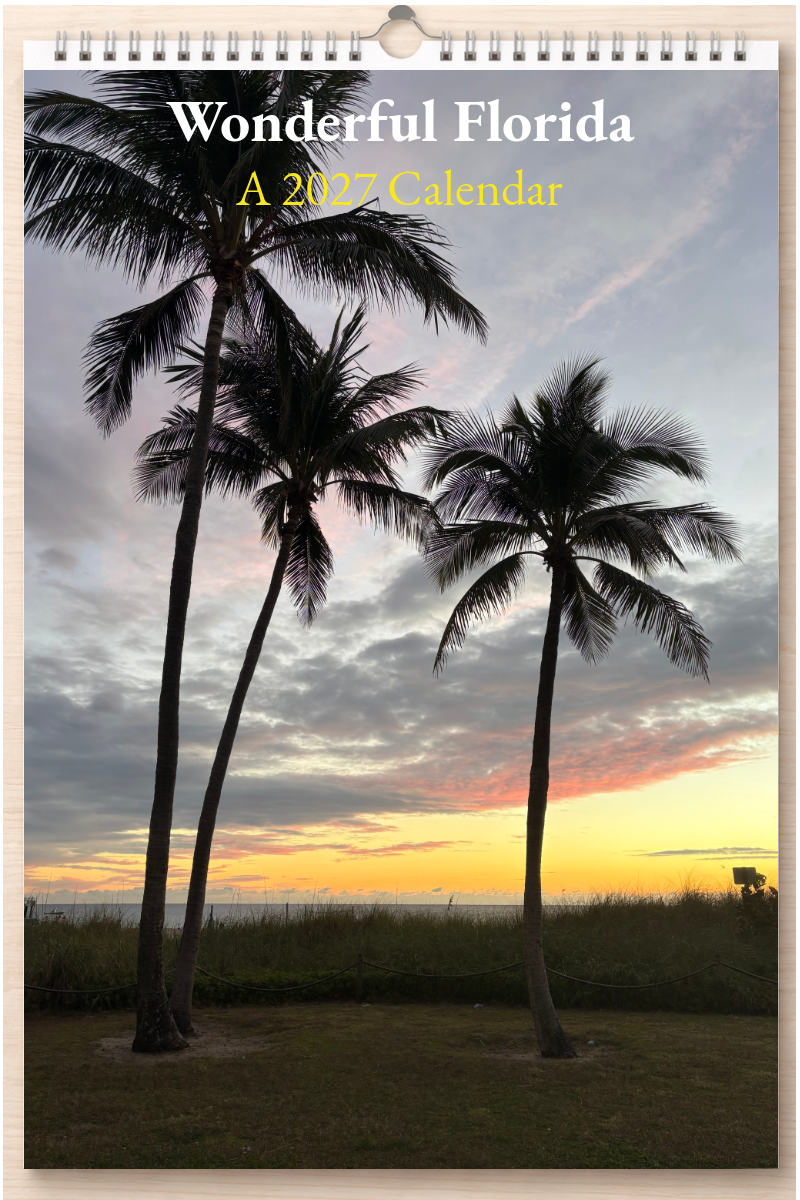 Wonderful Florida: A 2027 Calendar
