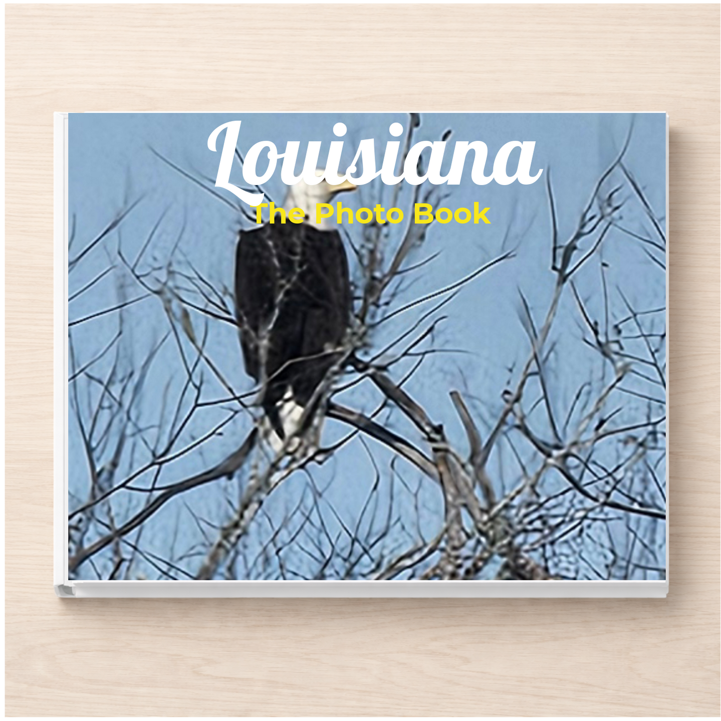 Louisiana: The Photo Book