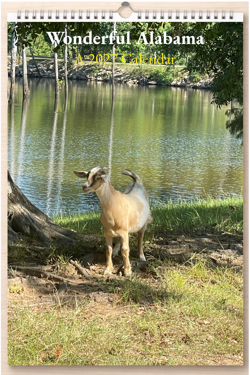 Wonderful Alabama: A 2027 Calendar