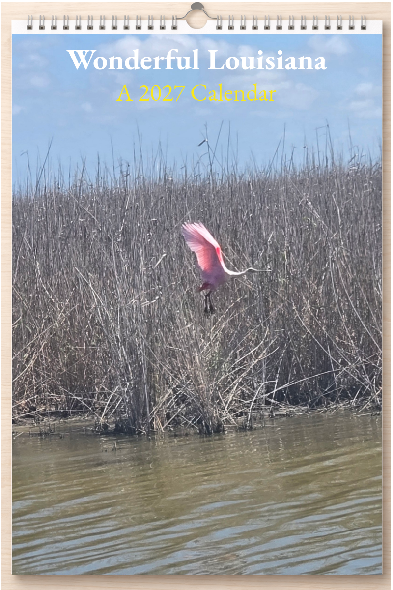 Wonderful Louisiana: A 2027 Calendar