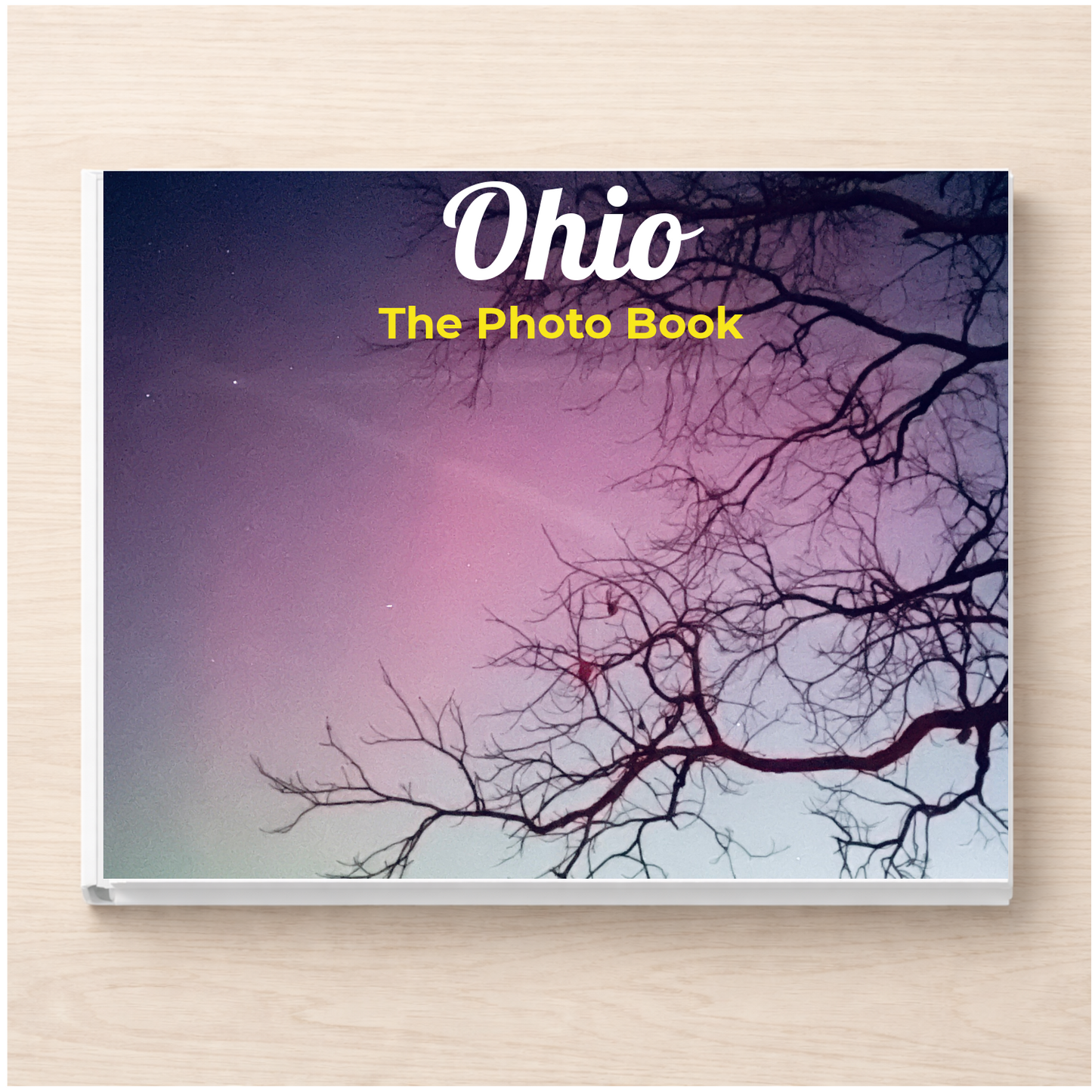 Ohio: The Photo Book