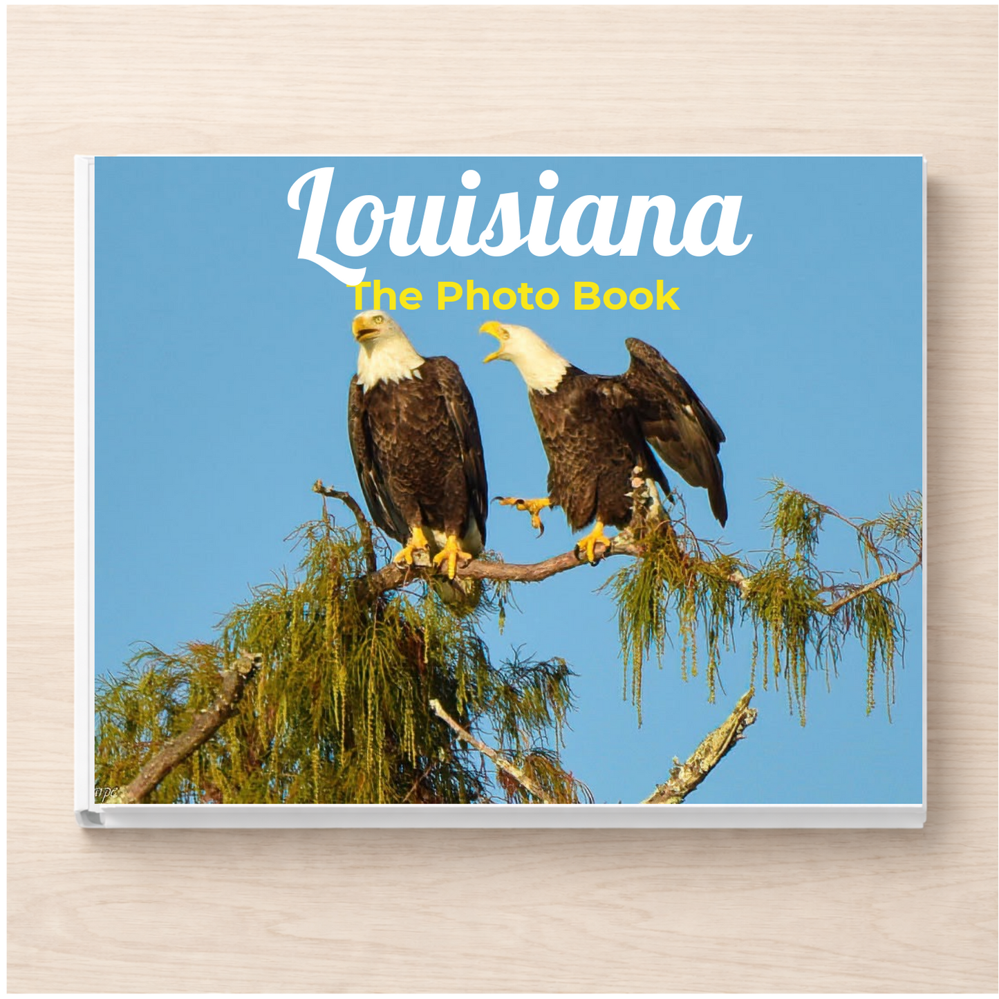 Louisiana: The Photo Book