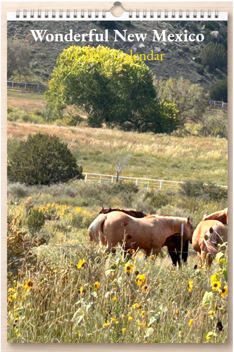 Wonderful New Mexico: A 2027 Calendar