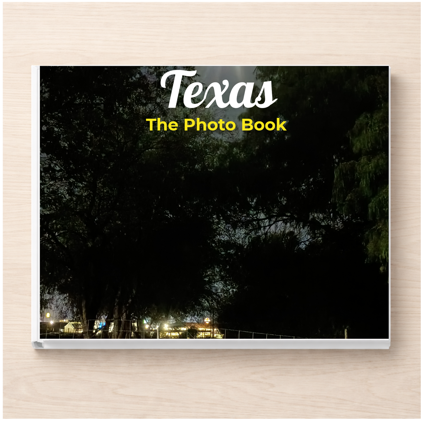 Texas: The Photo Book