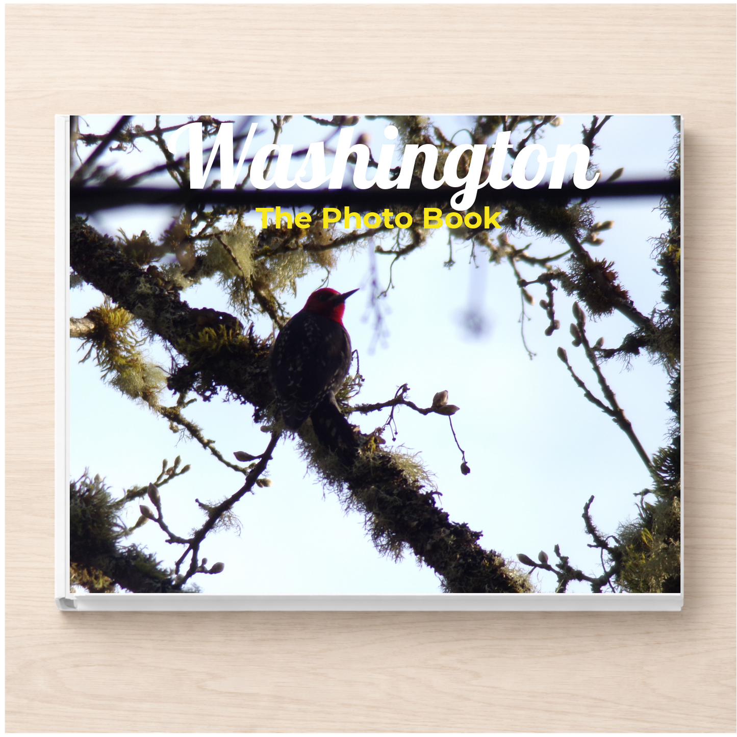 Washington: The Photo Book