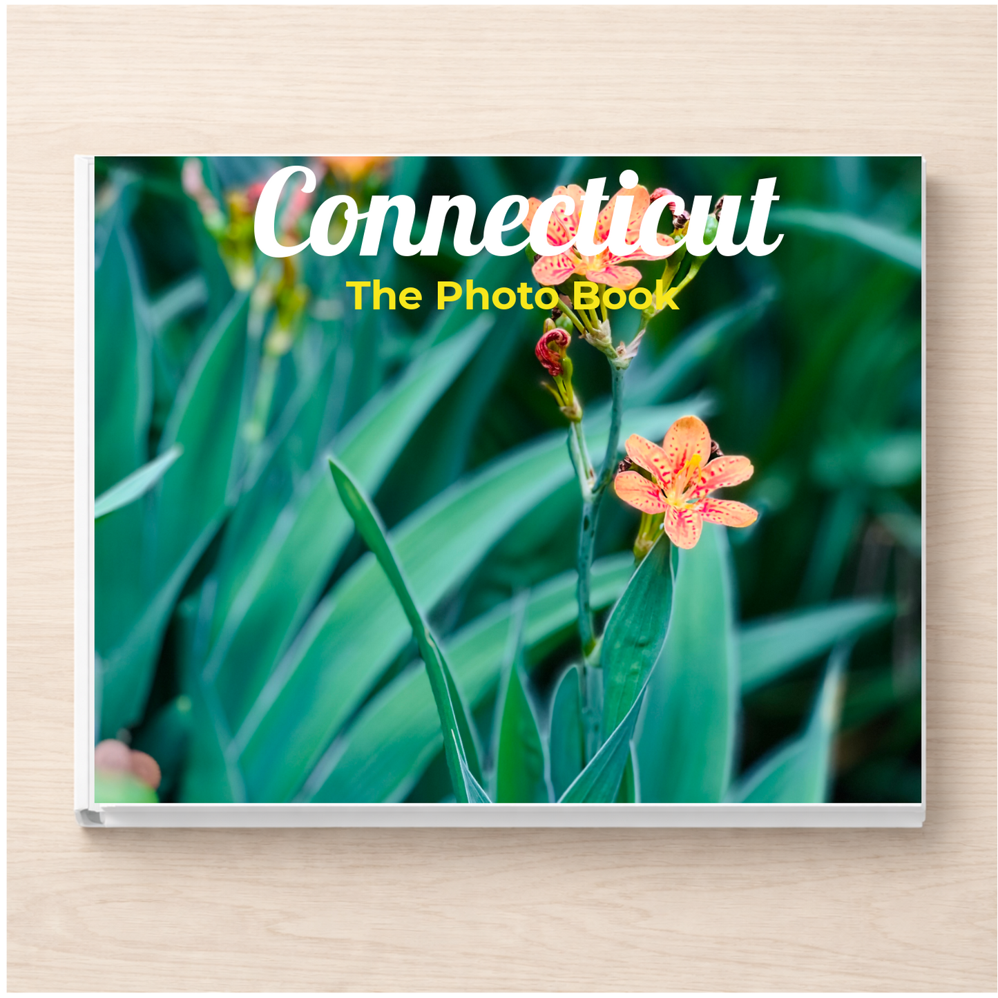 Connecticut: The Photo Book