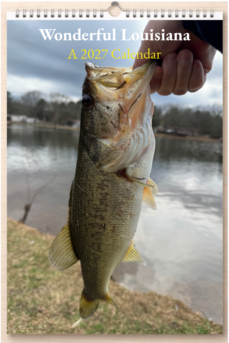 Wonderful Louisiana: A 2027 Calendar