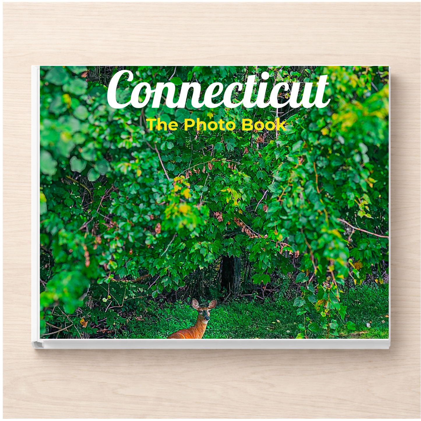 Connecticut: The Photo Book