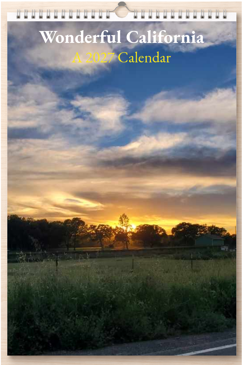 Wonderful California: A 2027 Calendar