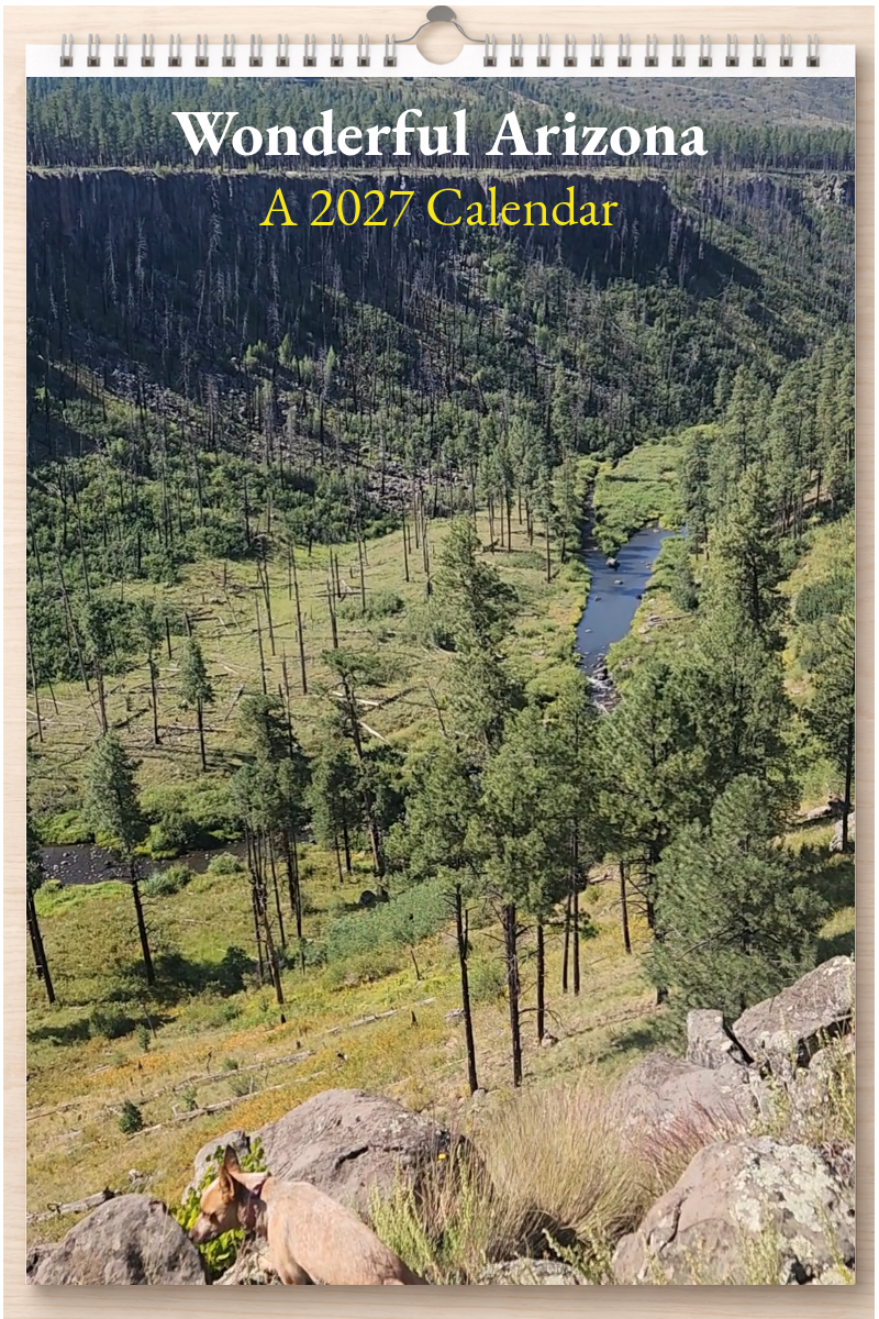 Wonderful Arizona: A 2027 Calendar