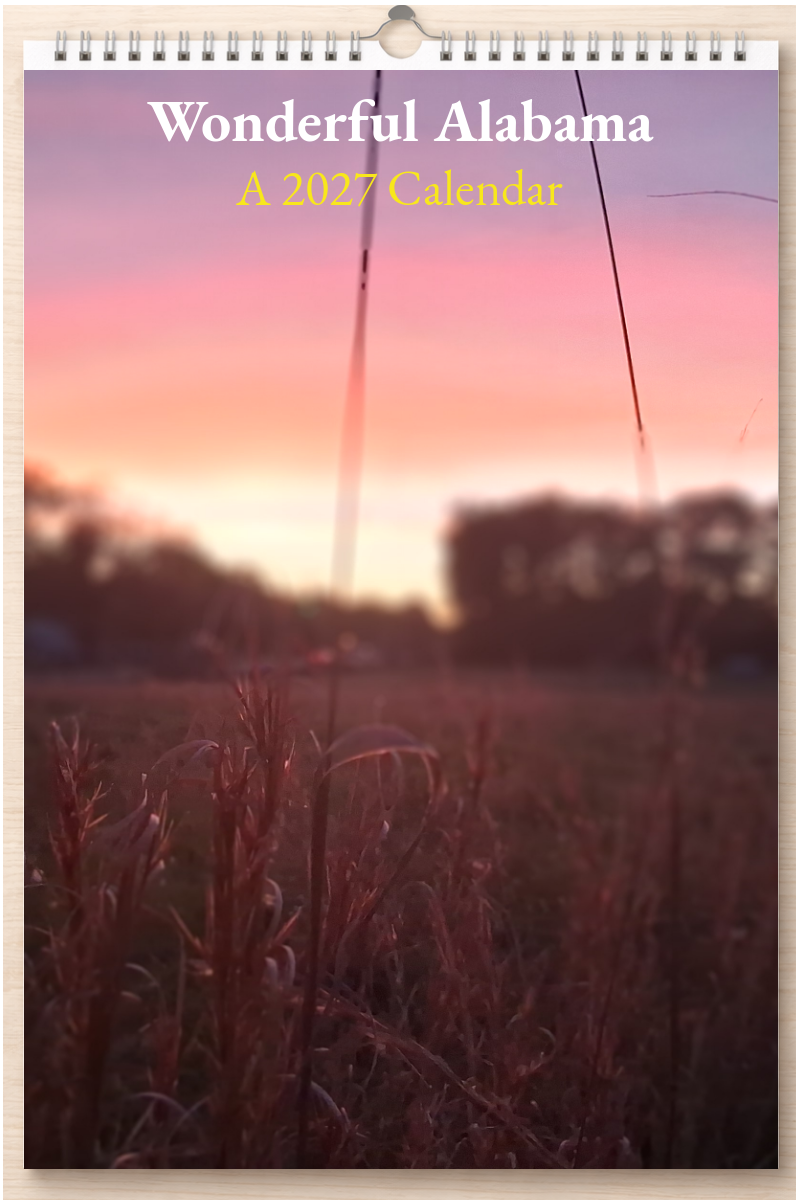 Wonderful Alabama: A 2027 Calendar