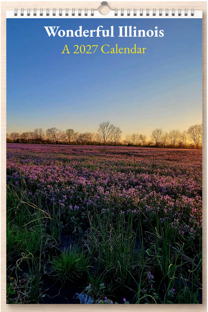 Wonderful Illinois: A 2027 Calendar
