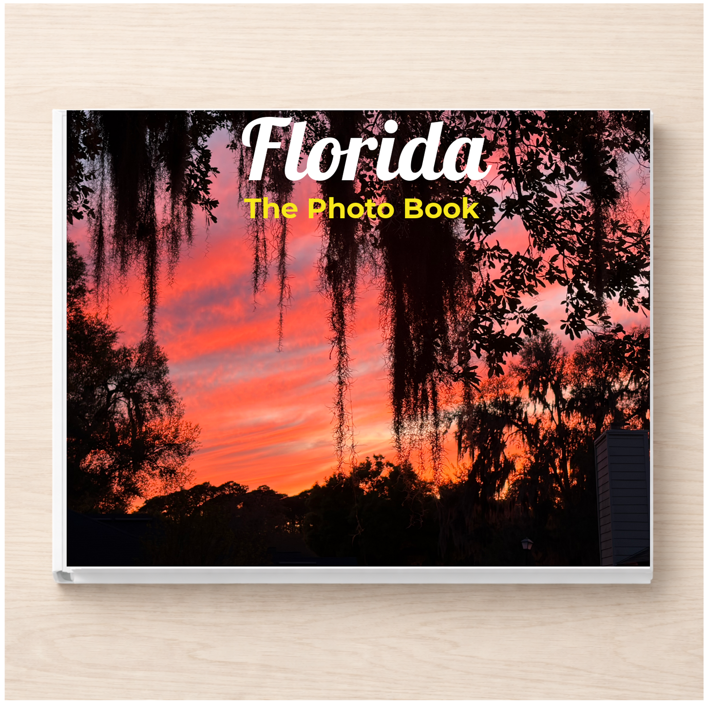 Florida: The Photo Book