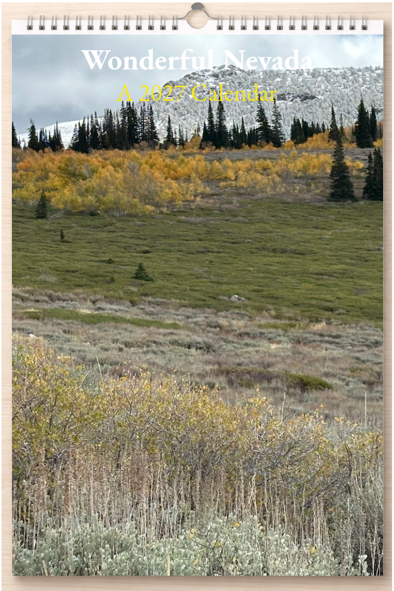 Wonderful Nevada: A 2027 Calendar