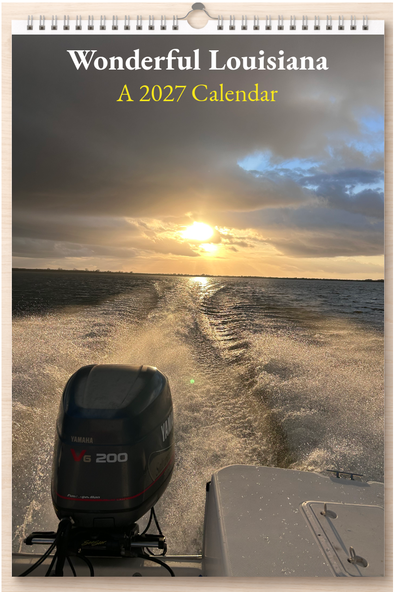 Wonderful Louisiana: A 2027 Calendar