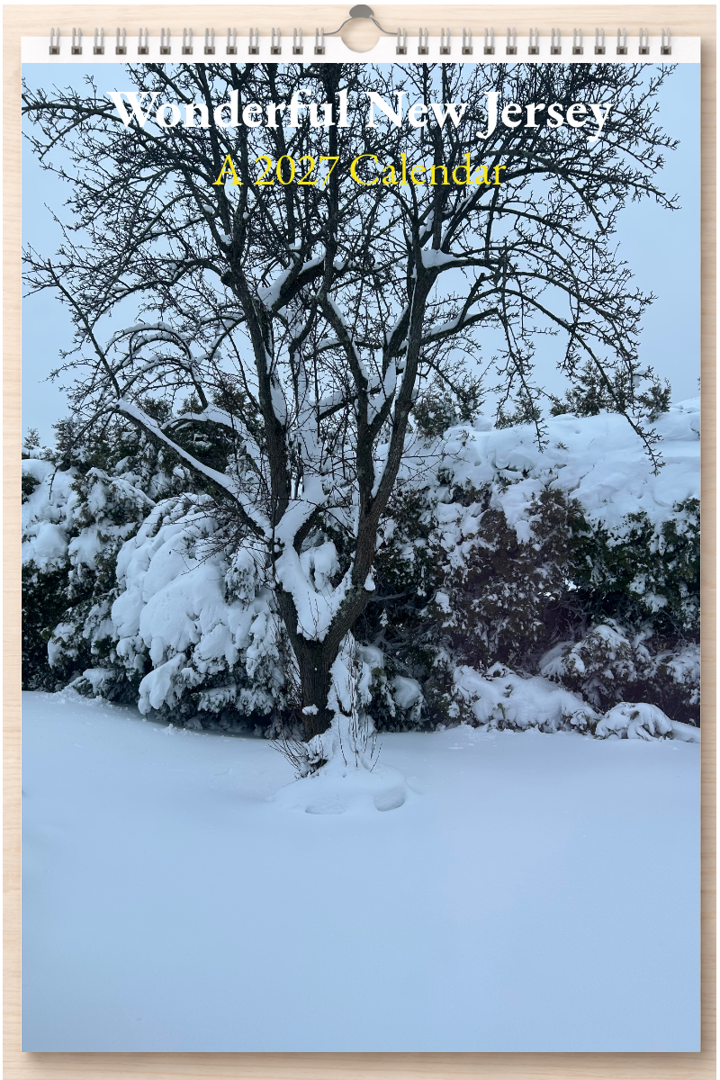 Wonderful New Jersey: A 2027 Calendar