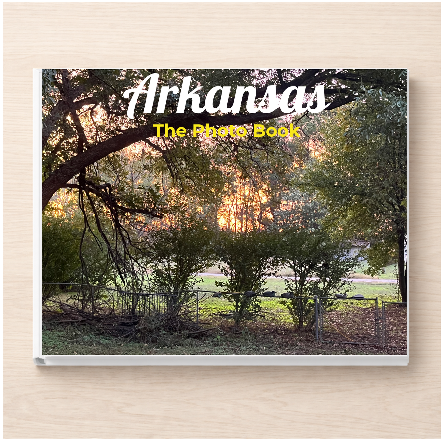 Arkansas: The Photo Book