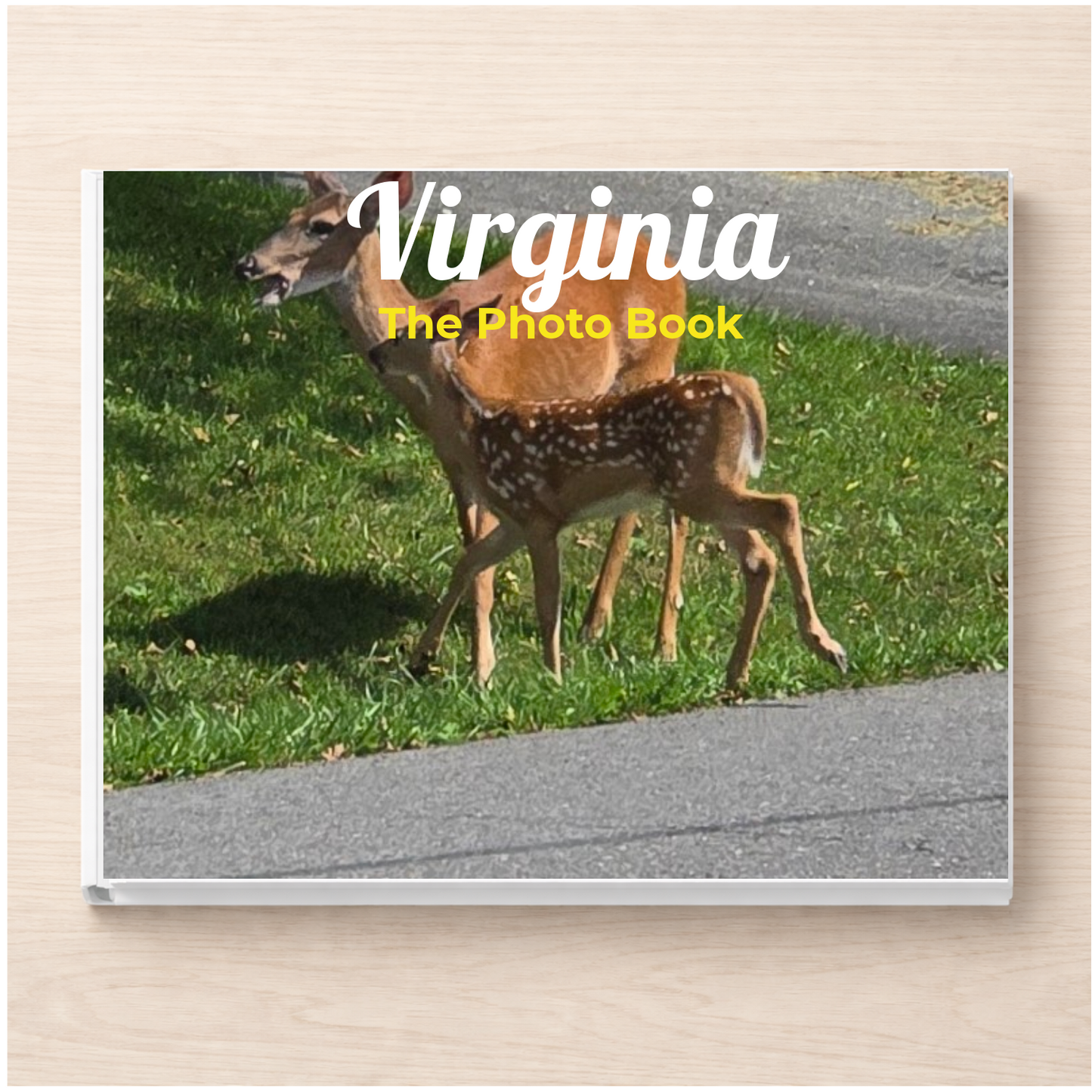 Virginia: The Photo Book