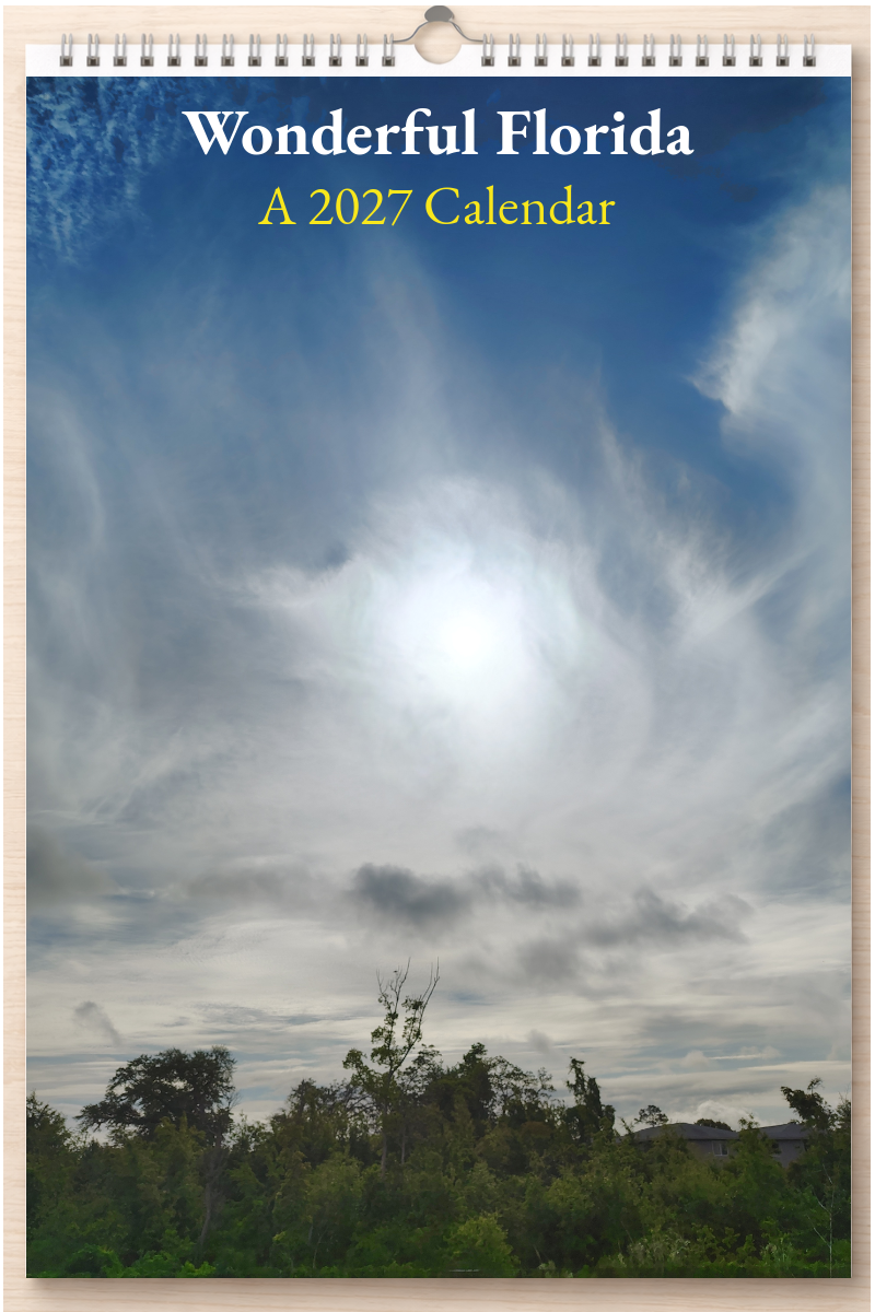 Wonderful Florida: A 2027 Calendar