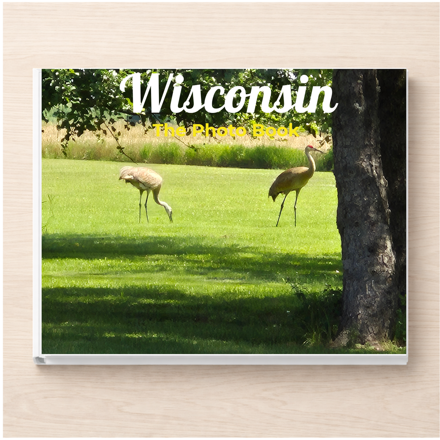 Wisconsin: The Photo Book