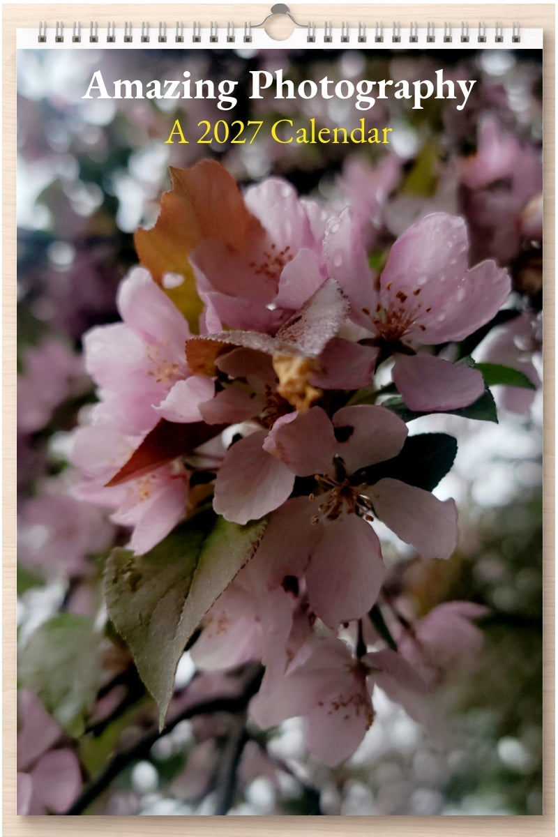 Amazing Photography: A 2027 Calendar