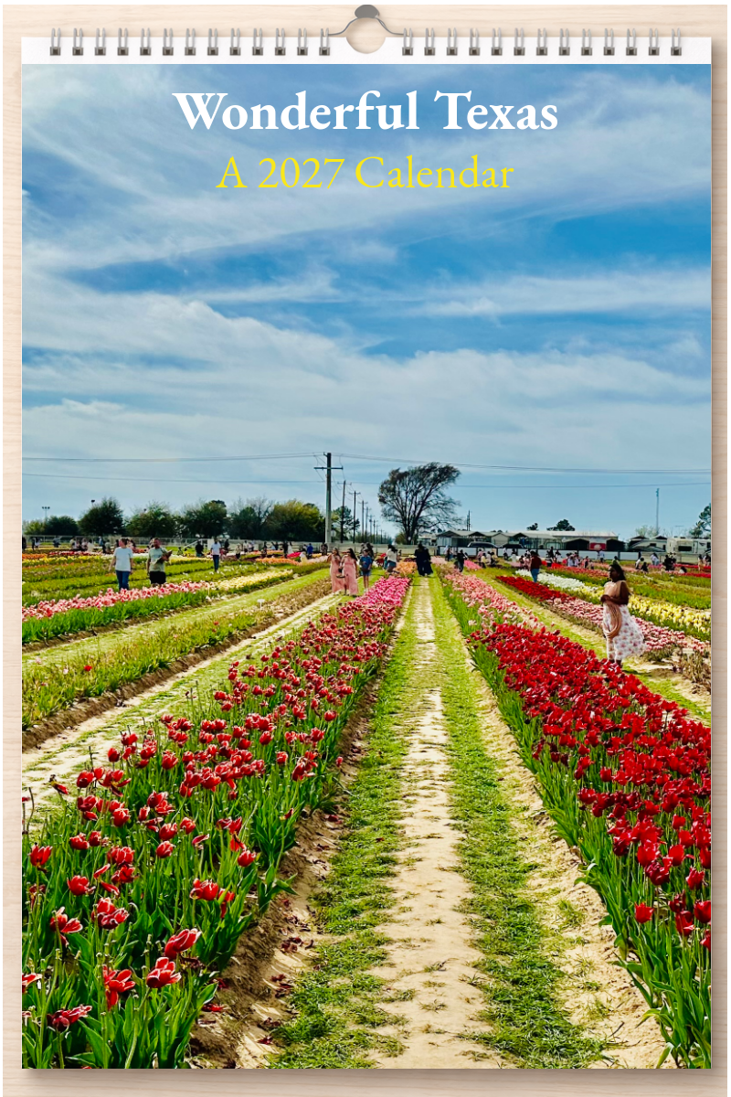 Wonderful Texas: A 2027 Calendar