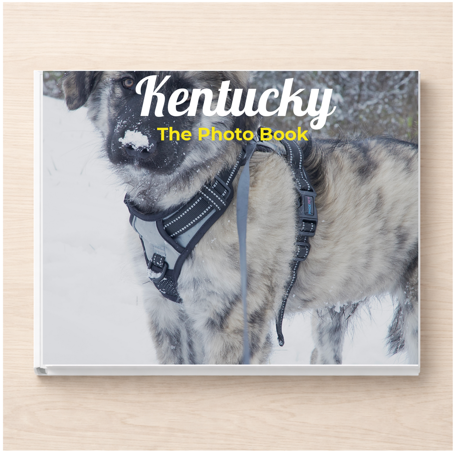Kentucky: The Photo Book