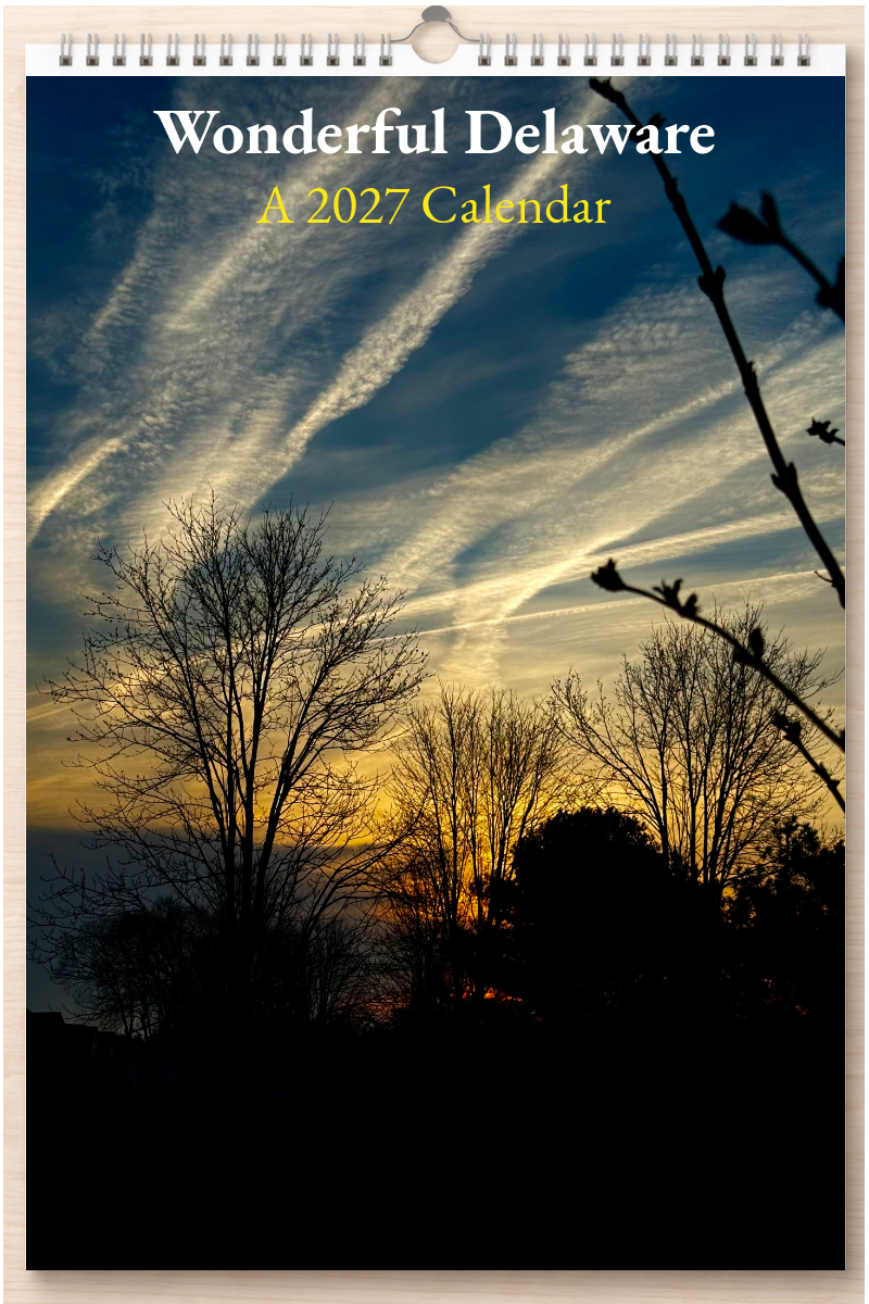 Wonderful Delaware: A 2027 Calendar