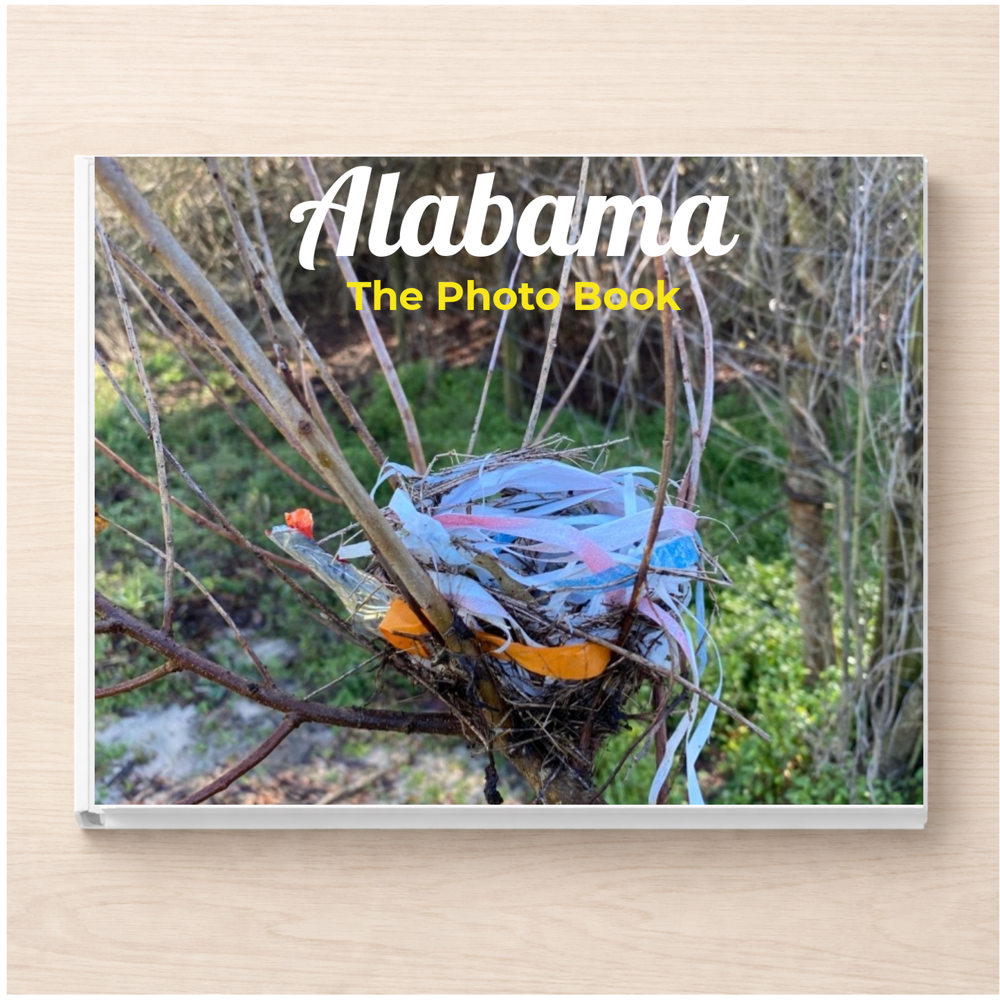 Alabama: The Photo Book