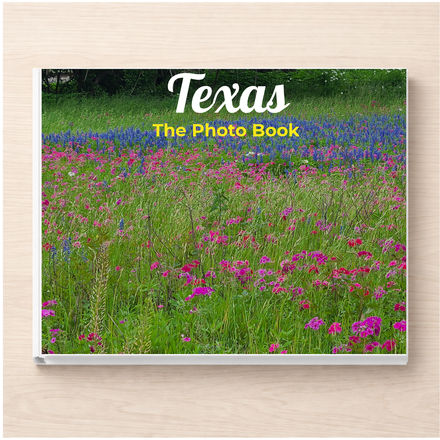 Texas: The Photo Book