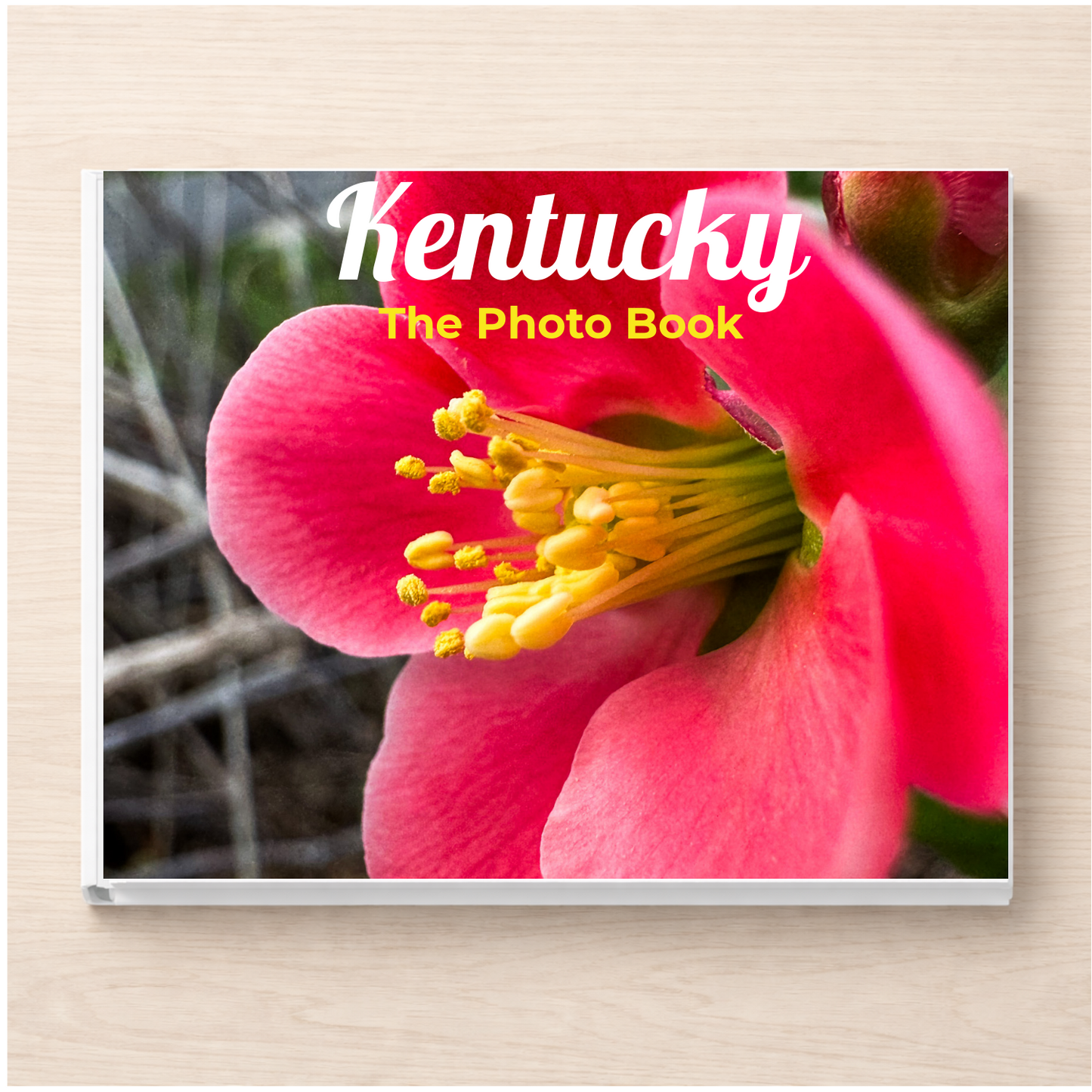 Kentucky: The Photo Book
