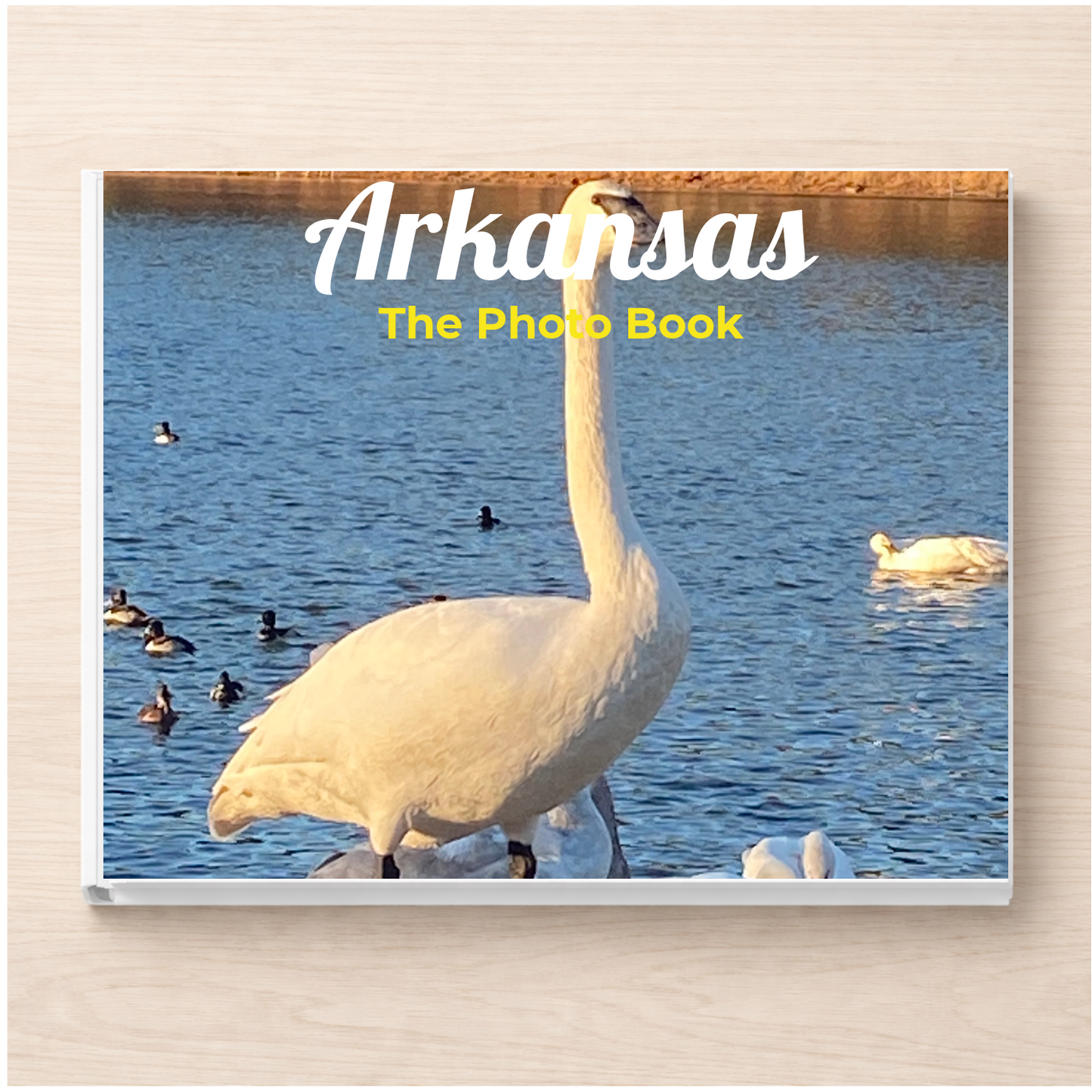 Arkansas: The Photo Book
