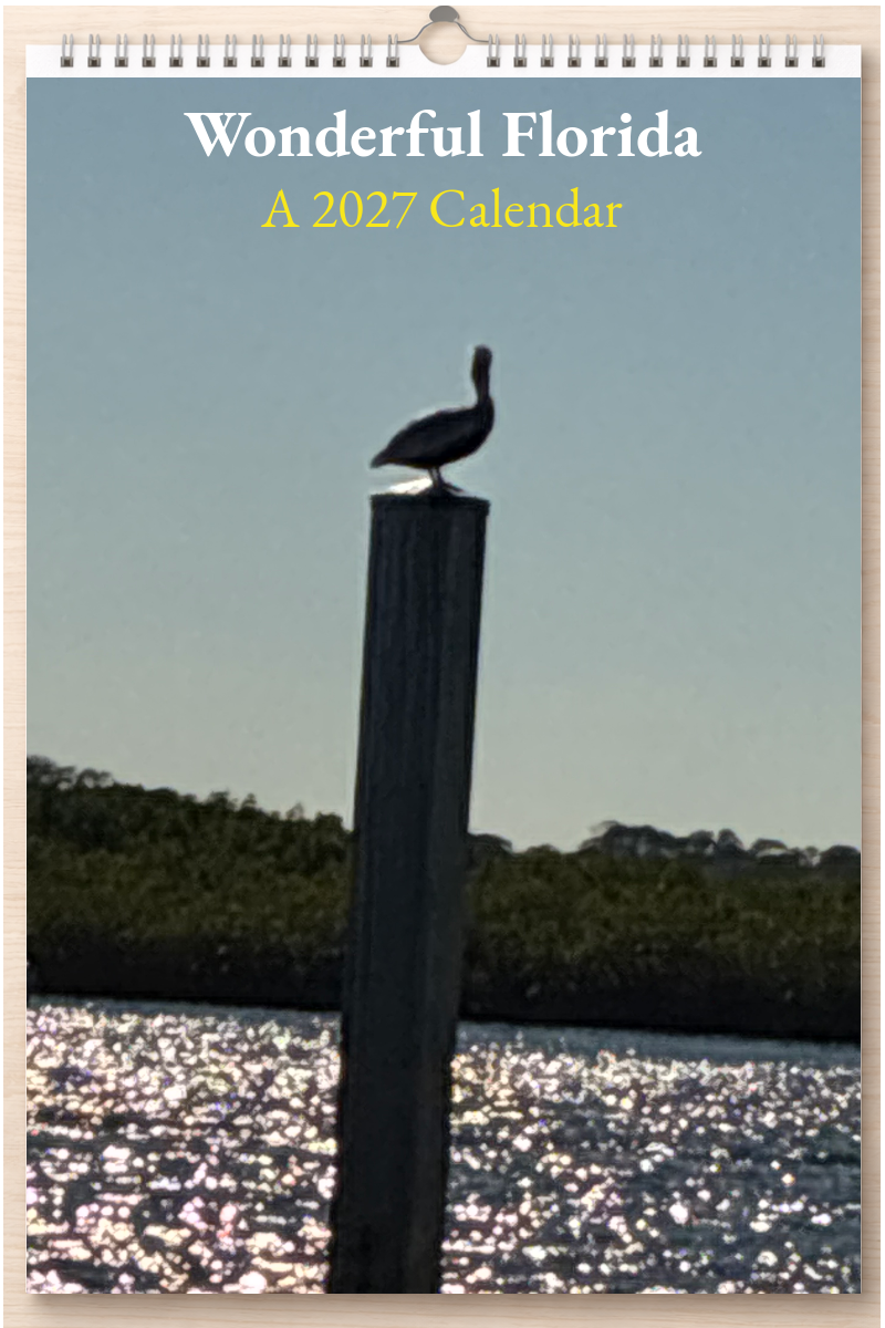Wonderful Florida: A 2027 Calendar