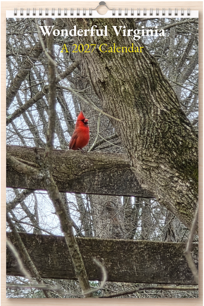 Wonderful Virginia: A 2027 Calendar