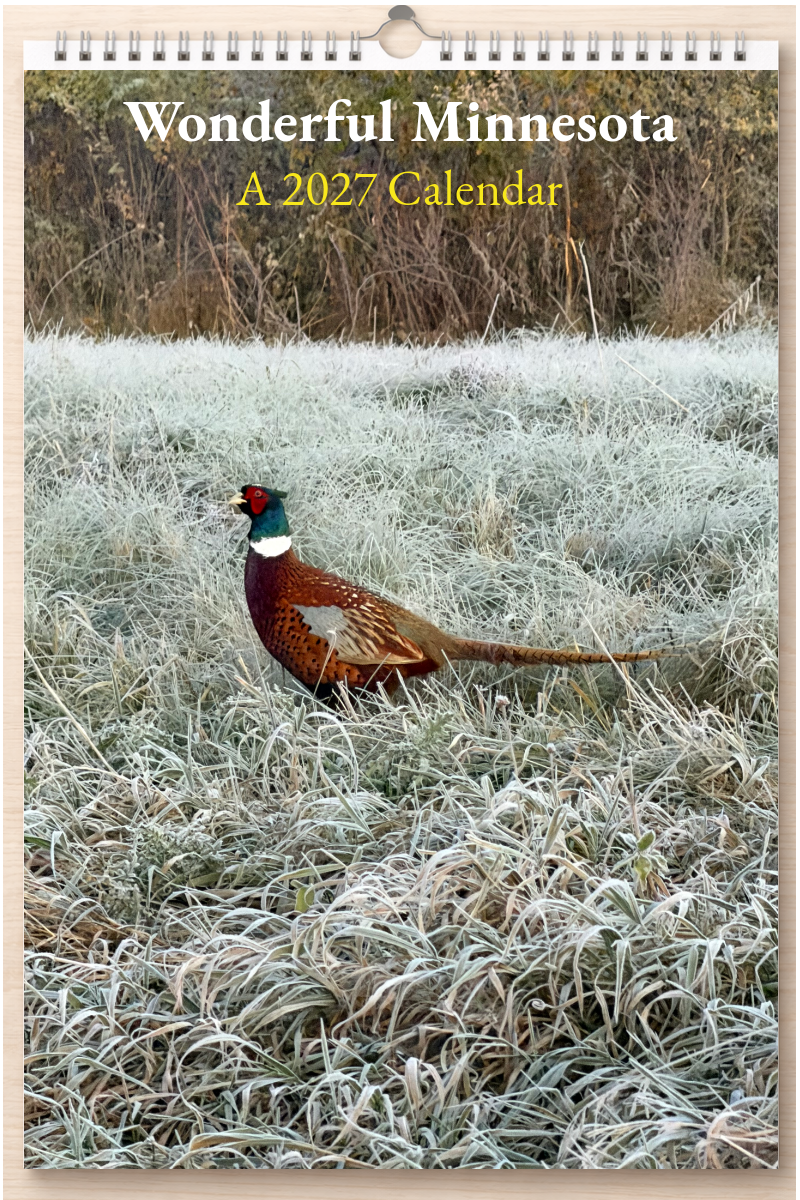 Wonderful Minnesota: A 2027 Calendar